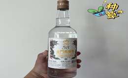 2025年白酒加盟代理赚钱吗，加盟费用大概多少钱？