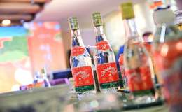 2025全国知名白酒加盟企业排名前十名，助力创业投资选优