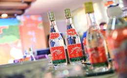 白酒加盟招商2025年：如何实现盈利及赚钱策略