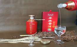 2025年热门白酒加盟代理项目名称大全
