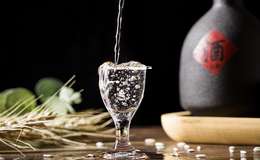 正规白酒加盟代理月成本2025年费用一览