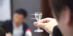 2025年浓香型白酒加盟店排行榜，热门品牌排名一览