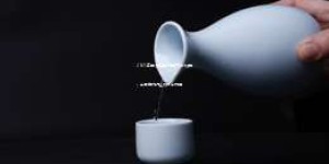 2025年白酒加盟代理政策新动向，全面解析行业动态与机遇