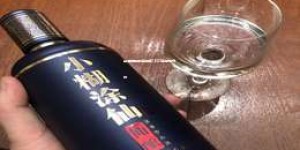 白酒加盟渠道销售2025年表现分析