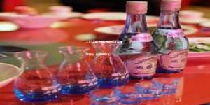 2025年白酒加盟项目招商方案撰写要点，助力品牌扩张