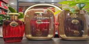 深圳中高档白酒经销商推荐，2025年深圳优质白酒经销商名单