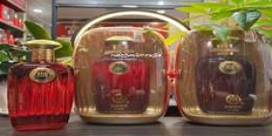 大连白酒经销商联系方式及地址查询，2025