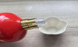 2025年亮泉酒业白酒加盟条件，费用及加盟流程详解