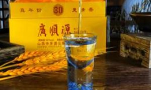 2025年白酒加盟市场十大品牌排行，揭秘热门投资选择