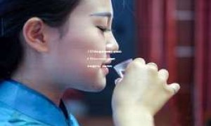 2025年散装白酒加盟厂家电话：400-xxx-xxxx，快速获取联系方式，加盟无忧