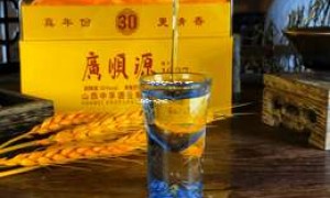 2025年白酒加盟成本分析：月开销明细及投资预算