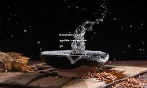 白酒经销商通讯录2025，最新白酒经销商名录，全面白酒经销商信息汇总