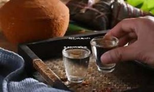 2025年白酒经销商数量变化分析图，白酒经销商数量年度对比