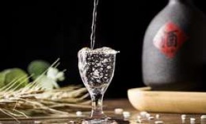 广州白酒加盟2025年哪家更值得选择？