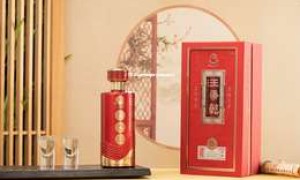 2025年中国知名白酒加盟品牌店一览