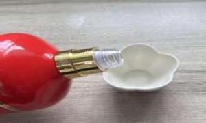 2025年度最火十大白酒加盟店排名榜单