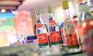 2025年白酒加盟店利润分析表格制作教程