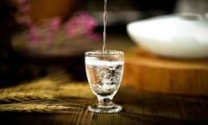 白酒加盟政策2025，加盟项目有哪些