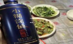 2025年十大白酒加盟店最火的是哪几家？